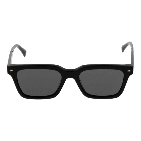 Ana Hickmann Sonnenbrille HI9172 52A01 – Frontansicht mit Azetat Rahmen und Grau Gläsern