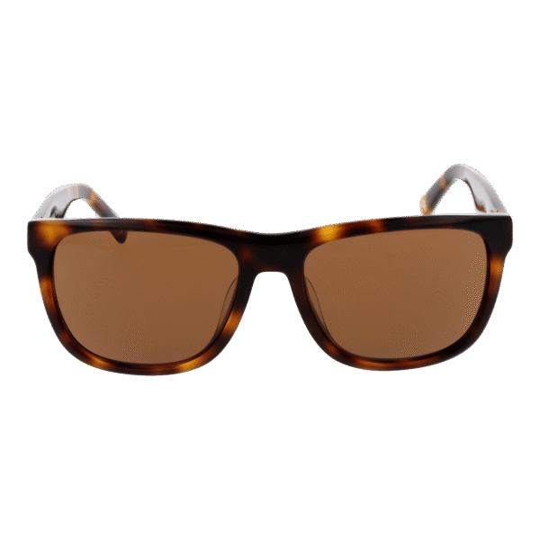 Botaniq Sonnenbrille BIS-7015 56102 – Frontansicht mit Azetat Rahmen und Braun Gläsern