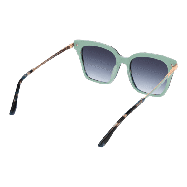 Rückansicht der Bulget Sonnenbrille BG9200 54G22 – Azetat Rahmen