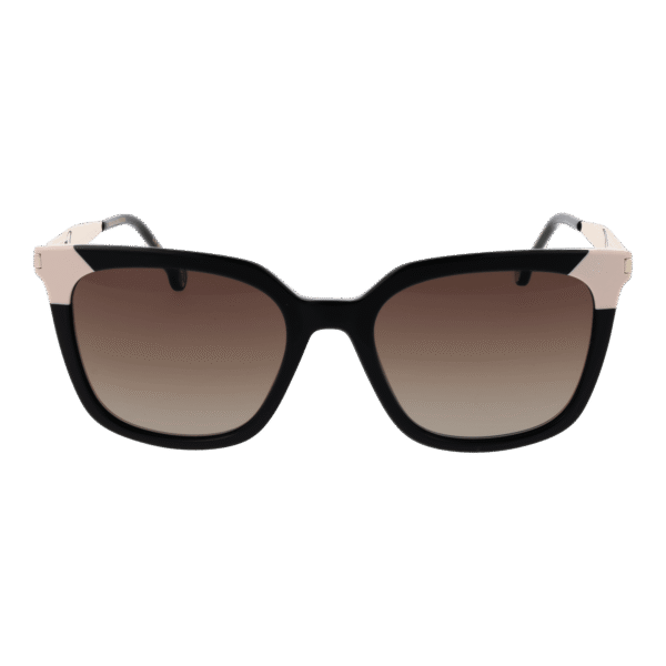 Carolina Herrera Sonnenbrille HER 0308/S 53807HA – Frontansicht mit Azetat Rahmen und Braun Gläsern