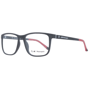 Rückansicht/Bügel der BMW Motorsport Brille BS5013 55020