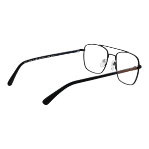 Frontansicht der Botaniq Brille BIO-1019 52204 – Rahmen Metall