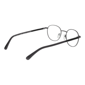 Frontansicht der Botaniq Brille BIO-1027 48005 – Rahmen Edelstahl