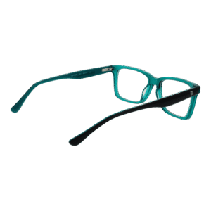 Frontansicht der Bulget Brille BGT6205 51T01 – Rahmen Azetat