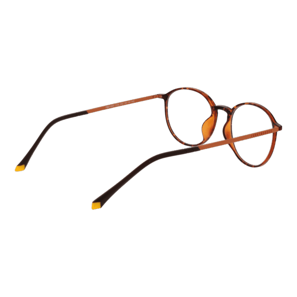 Frontansicht der Funky Buddha Brille FBD1003 50002 – Rahmen Kunststoff