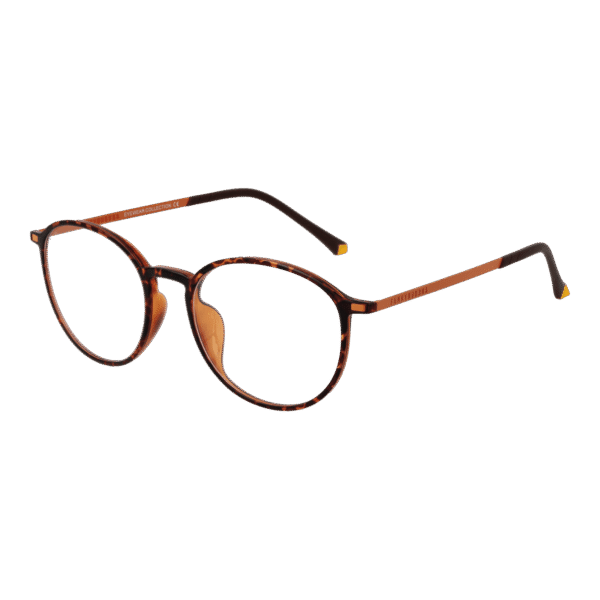 Funky Buddha Brille FBD1003 50002 – 45° Seitenansicht Funky Buddha )} Brille FBD1003 50002 in Braun