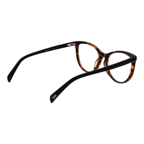 Frontansicht der Funky Buddha Brille FBD1012 53001 – Rahmen Metall