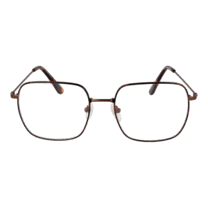 Frontansicht der Funky Buddha Brille FBD1014 54002 – Rahmen Metall