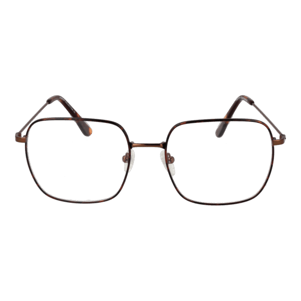 Frontansicht der Funky Buddha Brille FBD1014 54002 – Rahmen Metall