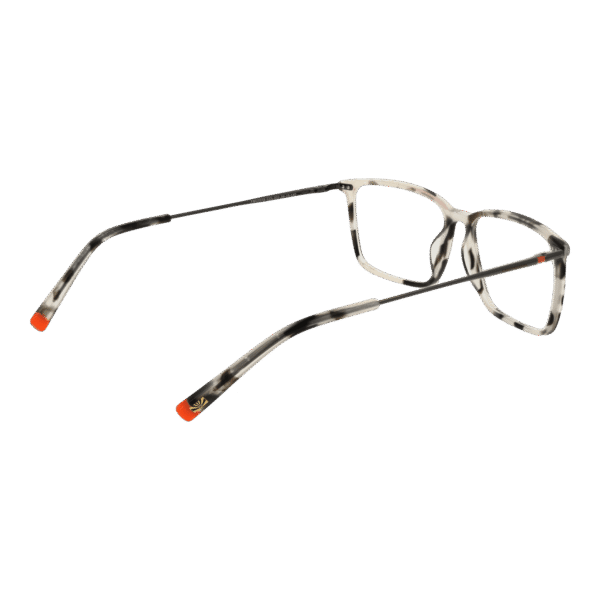 Frontansicht der Funky Buddha Brille FBD1019 54002 – Rahmen Metall