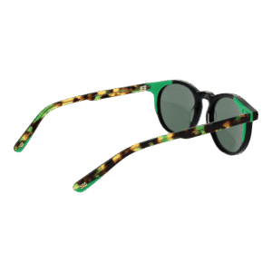 Rückansicht der Funky Buddha Sonnenbrille FBS2034 52003 – Kunststoff Rahmen