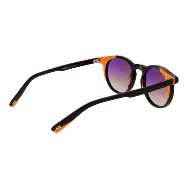Rückansicht der Funky Buddha Sonnenbrille FBS2034 52004 – Kunststoff Rahmen
