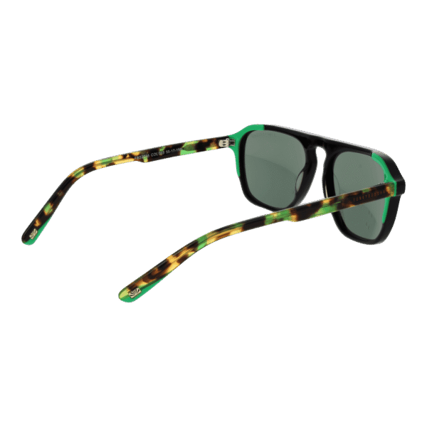 Rückansicht der Funky Buddha Sonnenbrille FBS2035 55003 – Kunststoff Rahmen