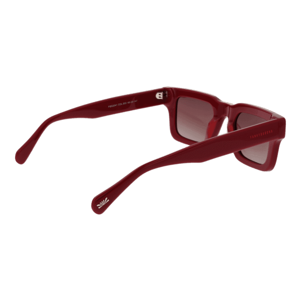 Rückansicht der Funky Buddha Sonnenbrille FBS2041 48003 – Kunststoff Rahmen