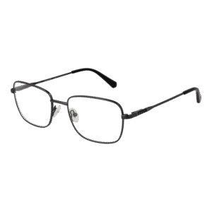 Gant )} Brille GA3242 54006 in Grau