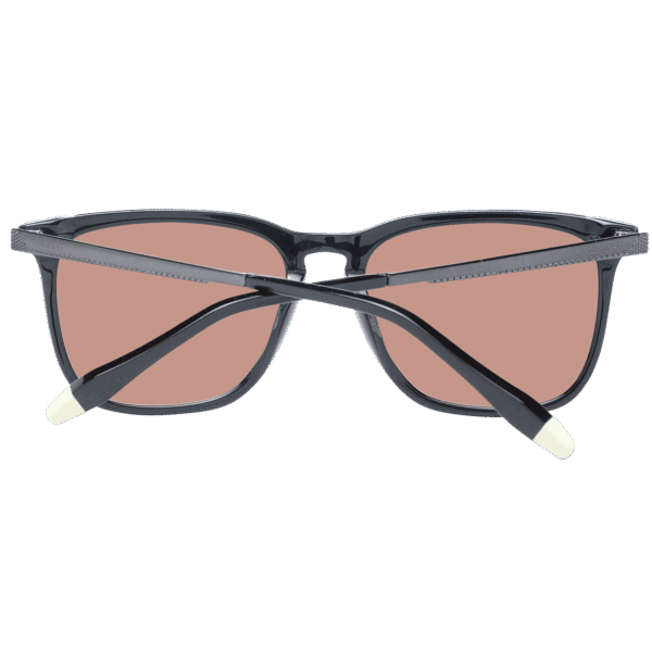 Rückansicht der Hackett Sonnenbrille HSK1146 541 – Azetat Rahmen