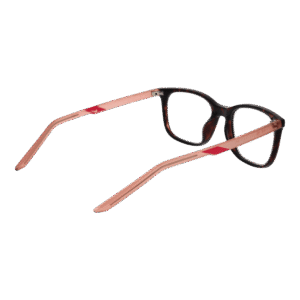 Frontansicht der Nike Brille NK7255 53239 – Rahmen Edelstahl