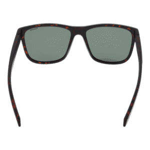 Rückansicht der Polaroid Sonnenbrille PLD 2155/S 57HGCUC – Polycarbonat Rahmen