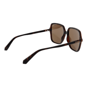 Rückansicht der Polaroid Sonnenbrille PLD 6219/S 56086SP – Eco Polycarbonat Rahmen