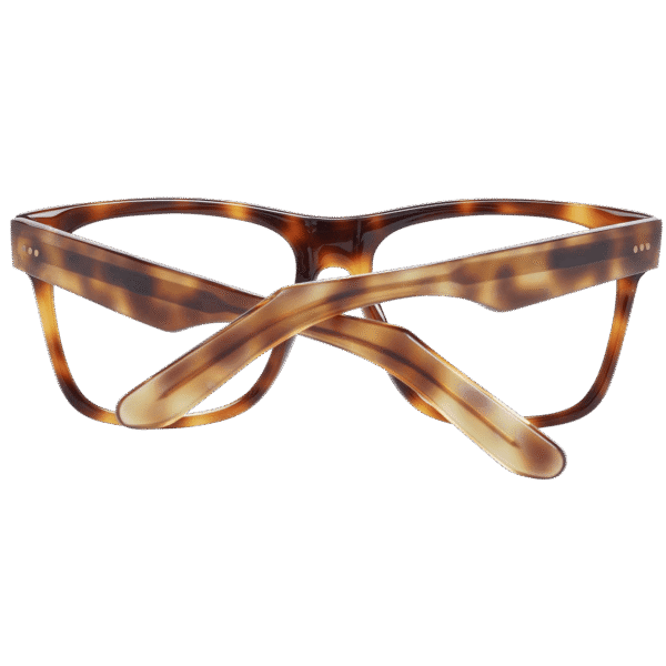 Frontansicht der Sandro Brille SD1002 54201 – Rahmen Azetat