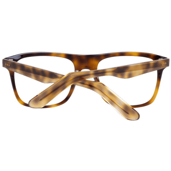 Frontansicht der Sandro Brille SD1003 52201 – Rahmen Azetat