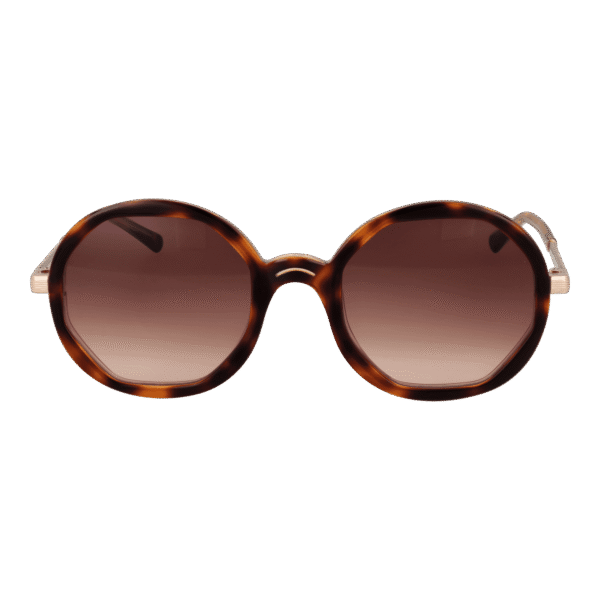 Sandro Sonnenbrille SD6042 53170 – Frontansicht mit Azetat Rahmen und Braun Gläsern