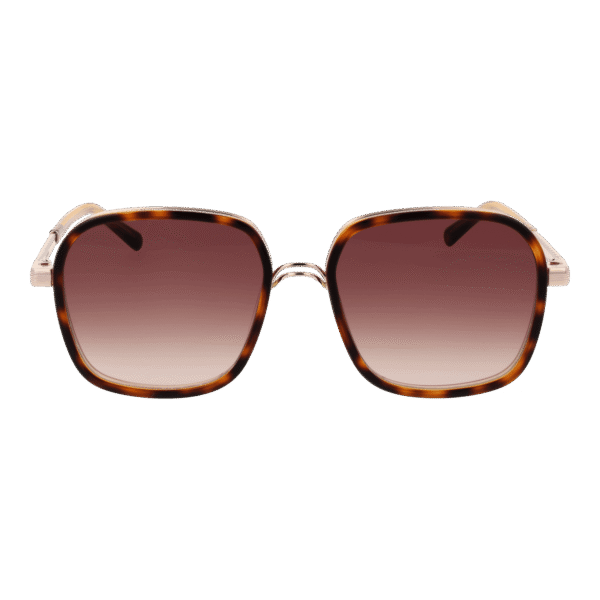 Sandro Sonnenbrille SD6050 54170 – Frontansicht mit Azetat Rahmen und Braun Gläsern