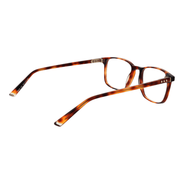 Frontansicht der Taylor Morris Brille SW16 52C2 – Rahmen Azetat