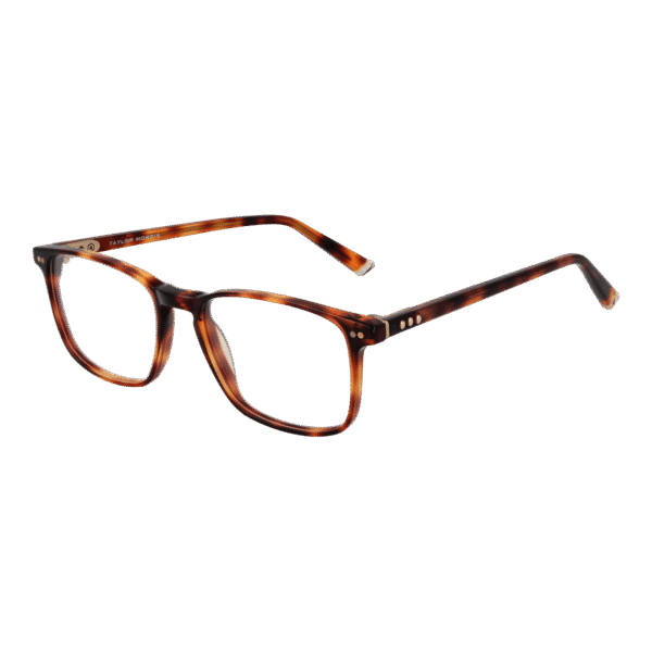 Taylor Morris )} Brille SW16 52C2 in Braun