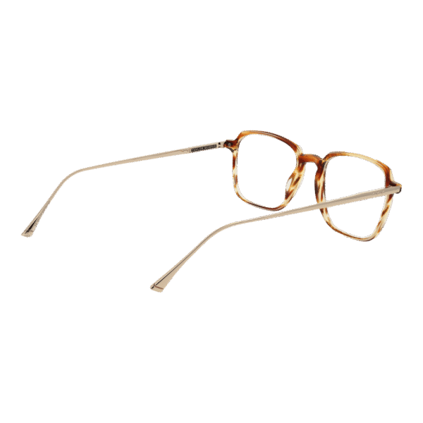 Frontansicht der Taylor Morris Brille SW3 53C2 – Rahmen Azetat