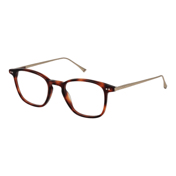 Taylor Morris )} Brille W9 48C2 in Braun