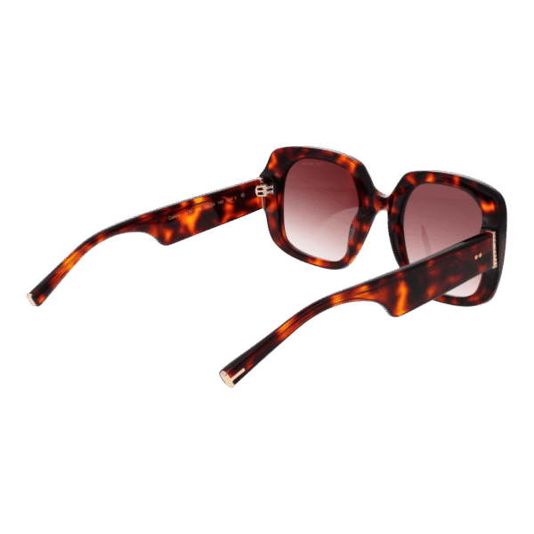 Rückansicht der Ted Baker Sonnenbrille TB1730 53100 – Azetat Rahmen