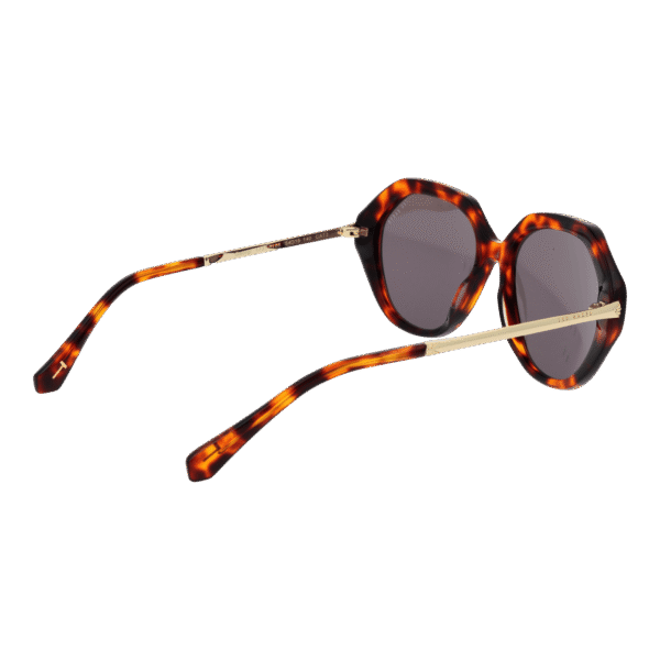 Rückansicht der Ted Baker Sonnenbrille TB1731 54188 – Azetat Rahmen