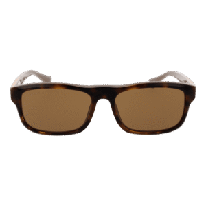 Web Sonnenbrille WE0371 5856J – Frontansicht mit Azetat Rahmen und Gold Gläsern