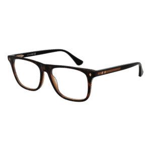 Web )} Brille WE5399 54056 in Braun