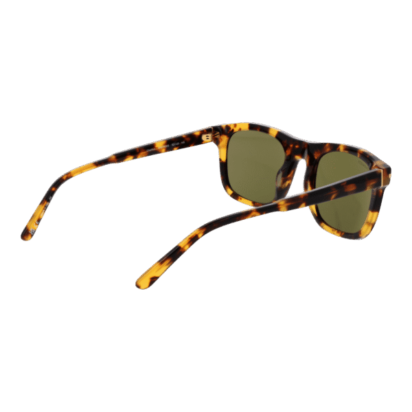 Rückansicht der Serengeti Sonnenbrille SS576005 Charlton – Azetat Rahmen