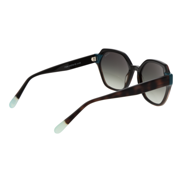 Rückansicht der Comma Sonnenbrille 77234 5465 – Azetat Rahmen