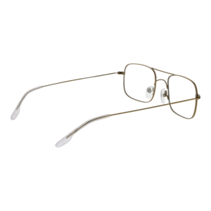 Frontansicht der Johnny Loco Brille JLE1606 4903 – Rahmen Edelstahl