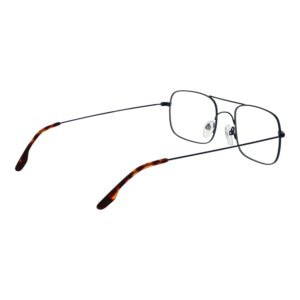 Frontansicht der Johnny Loco Brille JLE1606 4905 – Rahmen Edelstahl