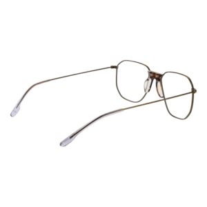 Frontansicht der Johnny Loco Brille JLE1802 5503 – Rahmen Edelstahl