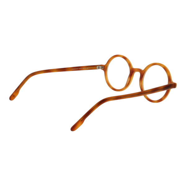 Frontansicht der Johnny Loco Brille JLE1814 4507 – Rahmen Azetat