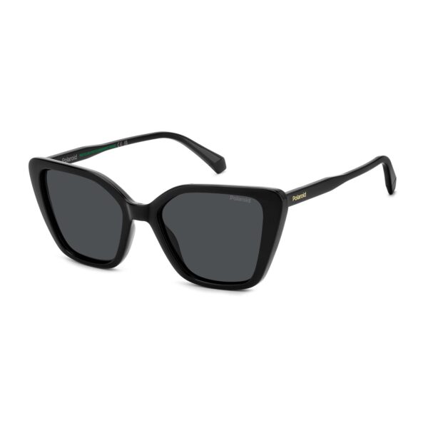 Polaroid  Sonnenbrille PLD 4189/S 53807M9 in  – 45° Seitenansicht
