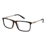 Fila )} Brille VFI296 570722 in Braun