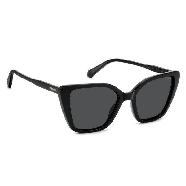 Rückansicht der Polaroid Sonnenbrille PLD 4189/S 53807M9 –  Rahmen