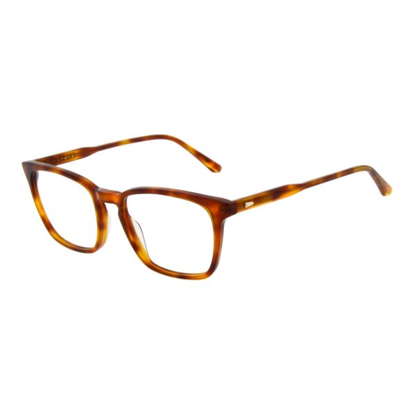 Sandro )} Brille SD1029 55201 in