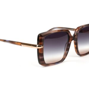 Ana Hickmann  Sonnenbrille AH9362 54E01 in Blau – 45° Seitenansicht