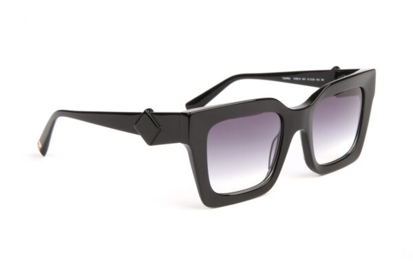 Ana Hickmann  Sonnenbrille HI9213 51A01 in Schwarz – 45° Seitenansicht