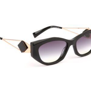 Ana Hickmann  Sonnenbrille HI9217 55A01 in Schwarz – 45° Seitenansicht