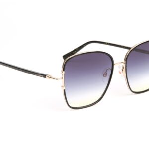 Ana Hickmann Sonnenbrille HI3192 5504A in Schwarz – 45° Seitenansicht