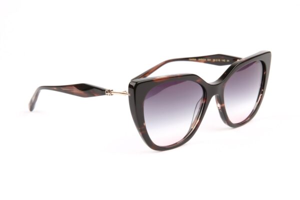 Ana Hickmann  Sonnenbrille AH9424 56E01 in Grau – 45° Seitenansicht
